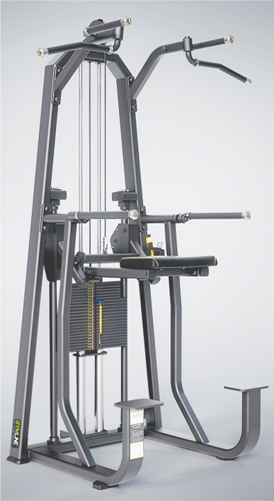 Gymlineplus Strength Equipment, Gymline T1009- Dip/Chin Assist Gymline Plus Private Limited