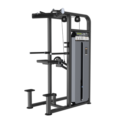 GYMLINE PLUS U2009C DIP CHIN ASSIST Gymline Plus Private Limited