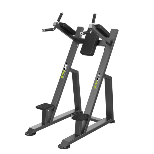 Gymline Plus U3047 Vertical Knees Up/Dip Gymline Plus Private Limited