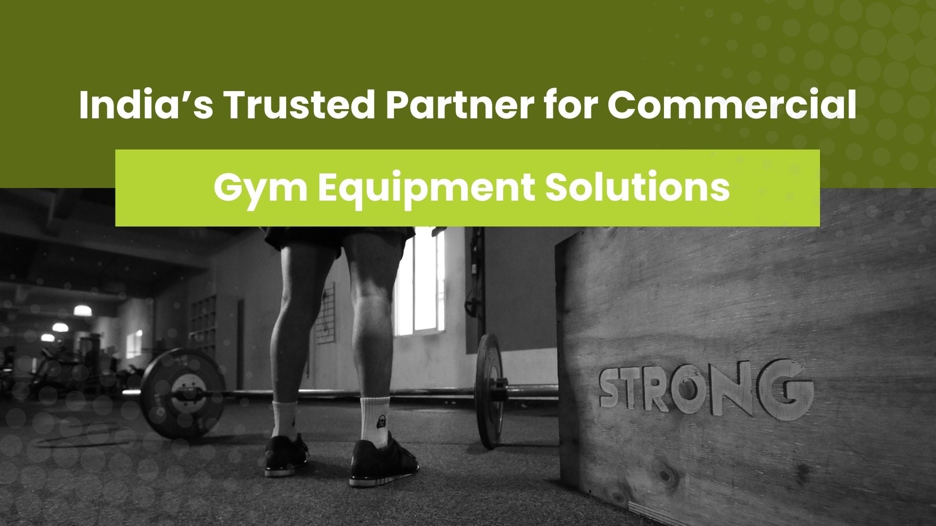 Gymline Plus: India’s Trusted Gym Equipment Dealers and Wholesale Suppliers Gymline Plus Pvt Ltd