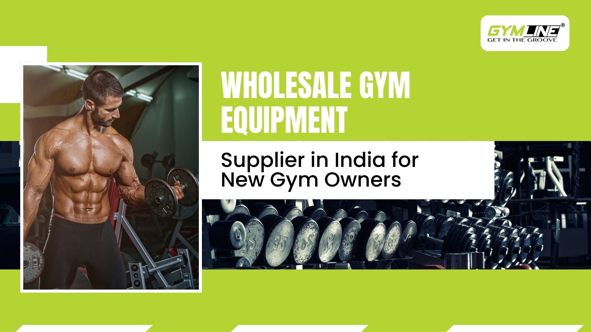 Wholesale Gym Equipment Supplier in India for New Gym Owners: Gymline+ Gymline Plus Pvt Ltd