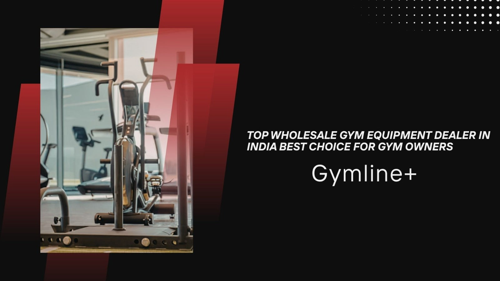 Top Wholesale Gym Equipment Dealer in India, Best Choice for Gym Owners: Gymline+ Gymline Plus Pvt Ltd