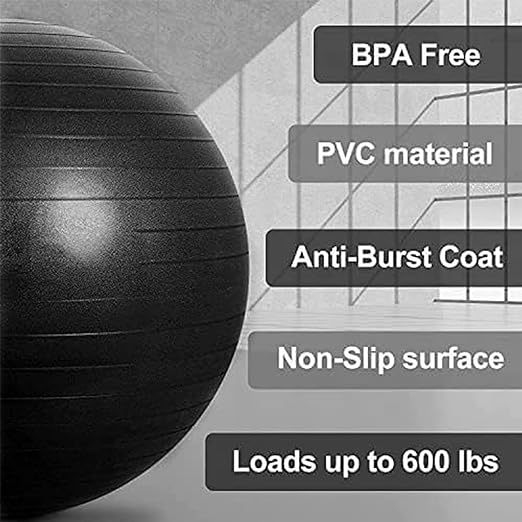 Gymlineplus Home Workout, Gymline ANTI BURST GYM BALL 65 cm