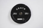 HYROX Official Competition Edge Bumper Plate Gymline Plus Pvt Ltd
