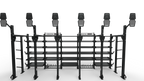 Perform Rig - 6 Targets Gymline Plus Pvt Ltd