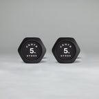 Centr x HYROX Commercial Dumbbells Gymline Plus Private Limited
