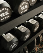Centr x HYROX Commercial Dumbbells Gymline Plus Private Limited