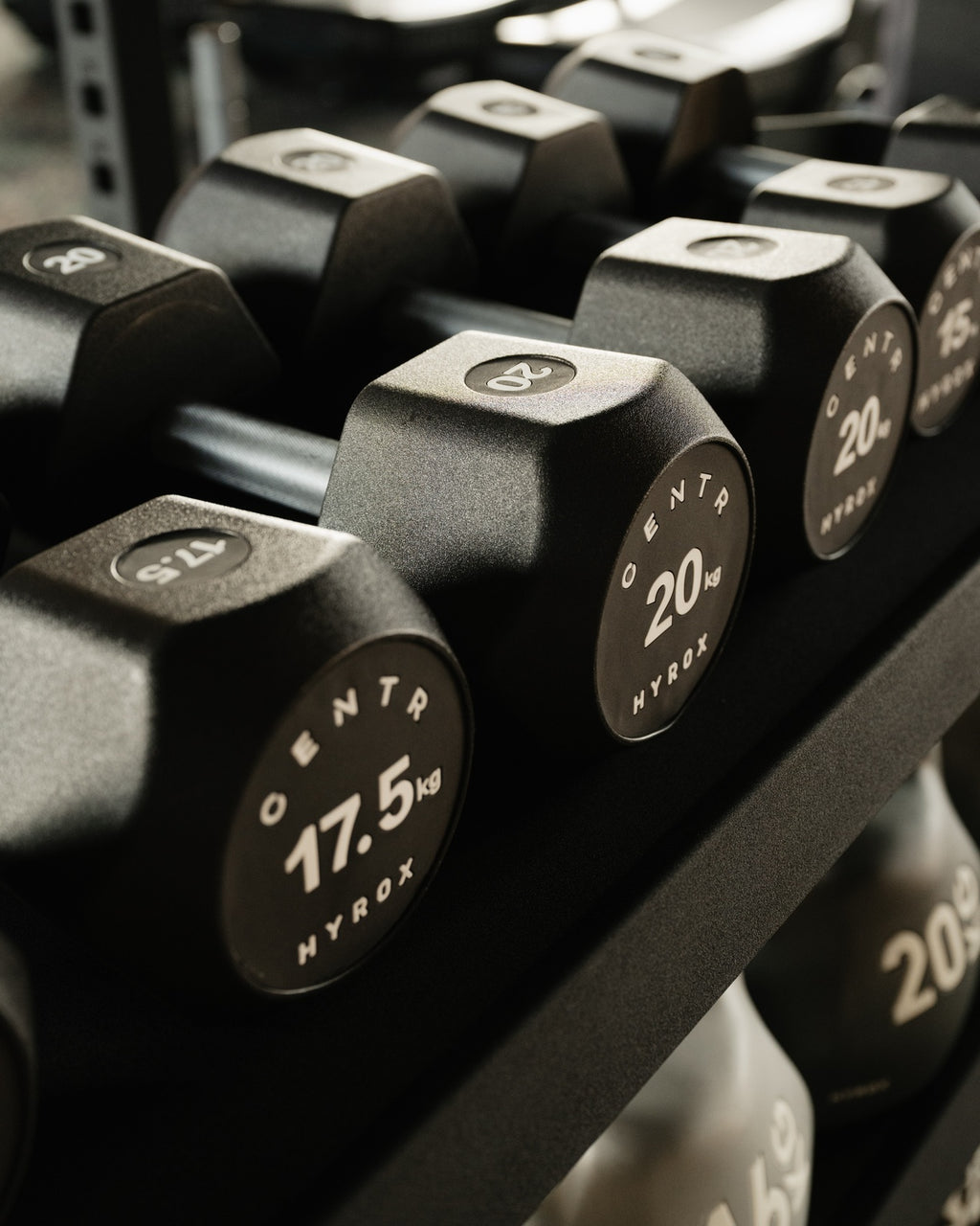 Centr x HYROX Commercial Dumbbells Gymline Plus Private Limited