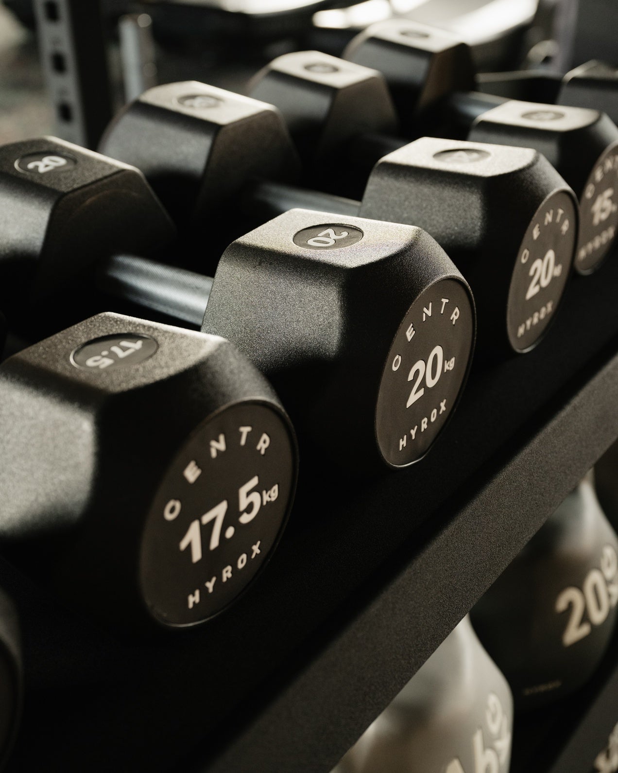 Centr x HYROX Commercial Dumbbells Gymline Plus Private Limited